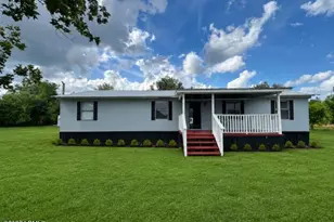 238 St Marks Rd, Allendale, SC 29810 - Photo 1