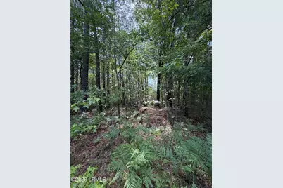 Tbd Hillcrest Drive, Hampton, SC 29924 - Photo 3