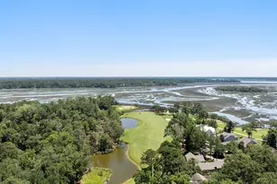 12 Dolphin Ln, Okatie, SC 29909 - Photo 81