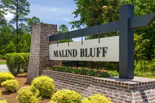673 Danner Dr, Bluffton, SC 29909 - Photo 53