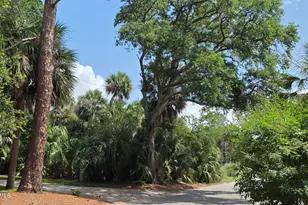 387 Tarpon Blvd, Ladys Island, SC 29920 - Photo 1