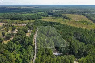 168 Walker Rd, Early Branch, SC 29916 - Photo 35