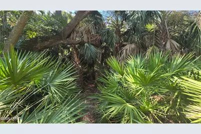 372 Pike Drive, Fripp Island, SC 29920 - Photo 15