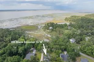 203 Black Skimmer Dr W, Beaufort, SC 29907 - Photo 1