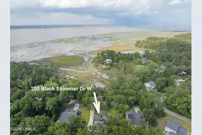 203 Black Skimmer Drive W, Beaufort, SC 29907 - Photo 3