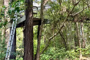 331 Orange Grove Rd, Saint Helena Island, SC 29920 - Photo 5