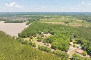 3958 Pineland Rd, Varnville, SC 29944 - Photo 53