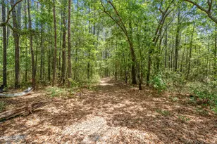 3958 Pineland Rd, Varnville, SC 29944 - Photo 45