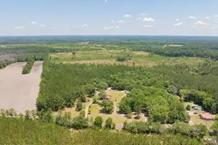 3958 Pineland Rd, Varnville, SC 29944 - Photo 51
