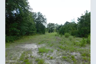 Tbd Gillison Branch Road, Ridgeland, SC 29936 - Photo 9