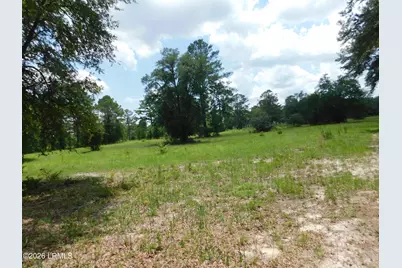 Tbd Gillison Branch Road, Ridgeland, SC 29936 - Photo 5