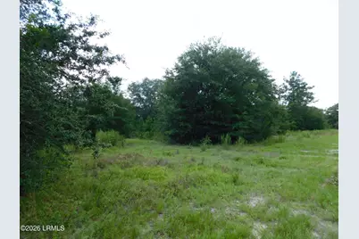 Tbd Gillison Branch Road, Ridgeland, SC 29936 - Photo 3
