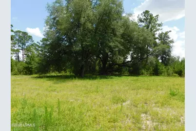 Tbd Gillison Branch Road, Ridgeland, SC 29936 - Photo 7