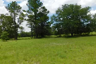 Tbd Gillison Branch Rd, Ridgeland, SC 29936 - Photo 1