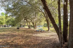 35 White Heron Dr, Beaufort, SC 29907 - Photo 43