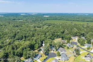35 White Heron Dr, Beaufort, SC 29907 - Photo 47