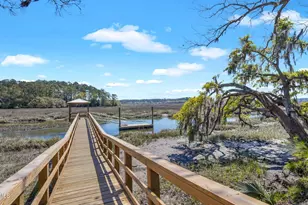744 Danner Dr, Okatie, SC 29909 - Photo 53