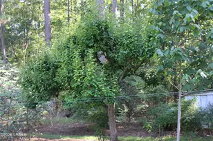 6054 Yemassee Hwy, Varnville, SC 29944 - Photo 25