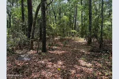 43 Pine Grove Road, Beaufort, SC 29906 - Photo 3