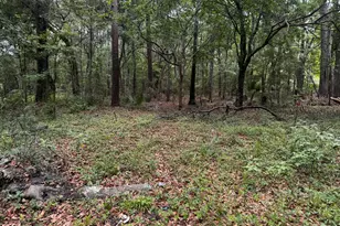 43 Pine Grove Rd, Beaufort, SC 29906 - Photo 1