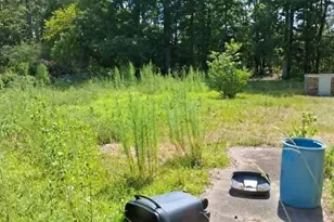 3385 St Peters Rd, Walterboro, SC 29488 - Photo 21