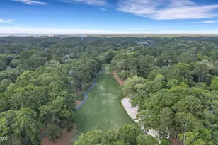 5 Wood Duck Ct, Hilton Head Island, SC 29928 - Photo 59