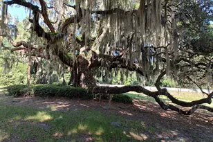 967 Sea Island Pkwy, Saint Helena Island, SC 29920 - Photo 3
