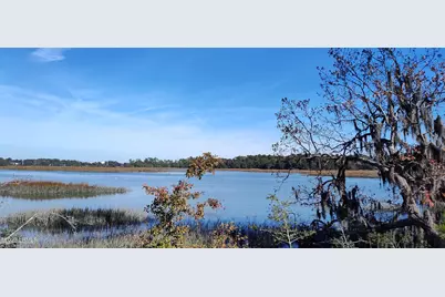 1272 Windswept Oak Lane, Beaufort, SC 29902 - Photo 3