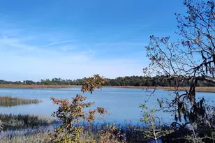 1272 Windswept Oak Ln, Beaufort, SC 29902 - Photo 3
