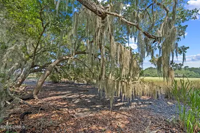 54 Bermuda Inlet Drive, Saint Helena Island, SC 29920 - Photo 21