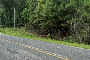 Tbd Ramblin Rd, Beaufort, SC 29906 - Photo 1