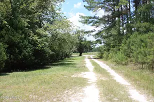 3222 Charleston Hwy, Varnville, SC 29944 - Photo 15