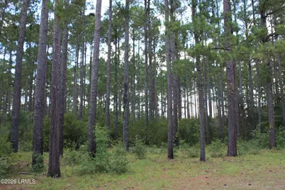 3222 Charleston Highway, Varnville, SC 29944 - Photo 13