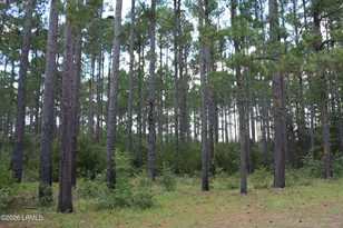 3222 Charleston Hwy, Varnville, SC 29944 - Photo 13