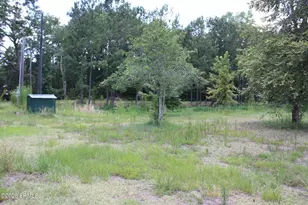 3222 Charleston Hwy, Varnville, SC 29944 - Photo 11