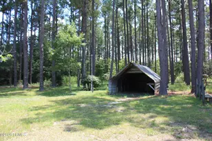 3222 Charleston Hwy, Varnville, SC 29944 - Photo 7