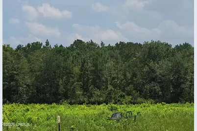 Tbd Toomerville Loop, Hardeeville, SC 29927 - Photo 1