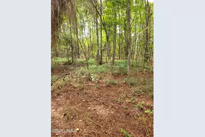 Tbd Toomerville Loop, Hardeeville, SC 29927 - Photo 5