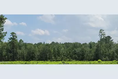 Tbd Toomerville Loop, Hardeeville, SC 29927 - Photo 3