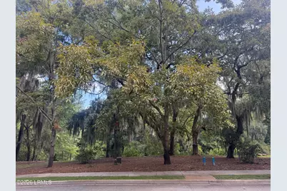 44 Celadon Drive, Beaufort, SC 29907 - Photo 5