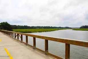 411 Joshua Ct, Beaufort, SC 29902 - Photo 59