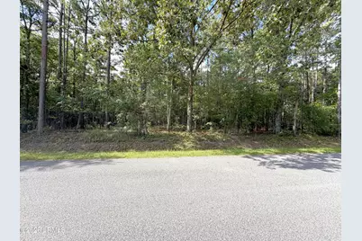 90 Honey Drive, Walterboro, SC 29488 - Photo 3