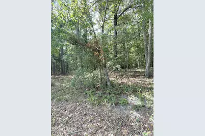 90 Honey Drive, Walterboro, SC 29488 - Photo 5