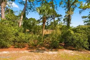 5 Gumtree Rd, Hilton Head Island, SC 29926 - Photo 31