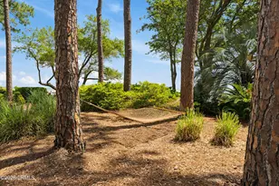239 Beach City Rd, Hilton Head Island, SC 29926 - Photo 27