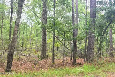 00 Wade Hampton Road, Hampton, SC 29924 - Photo 7