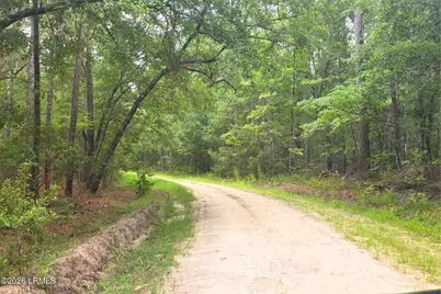 00 Wade Hampton Road, Hampton, SC 29924 - Photo 5