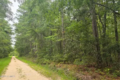 00 Wade Hampton Road, Hampton, SC 29924 - Photo 1