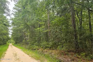 00 Wade Hampton Rd, Hampton, SC 29924 - Photo 1