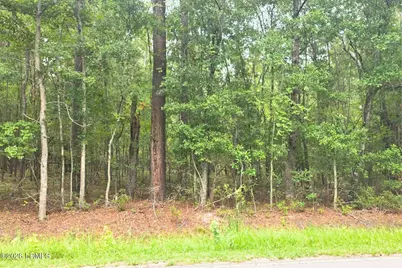 00 Wade Hampton Road, Hampton, SC 29924 - Photo 13